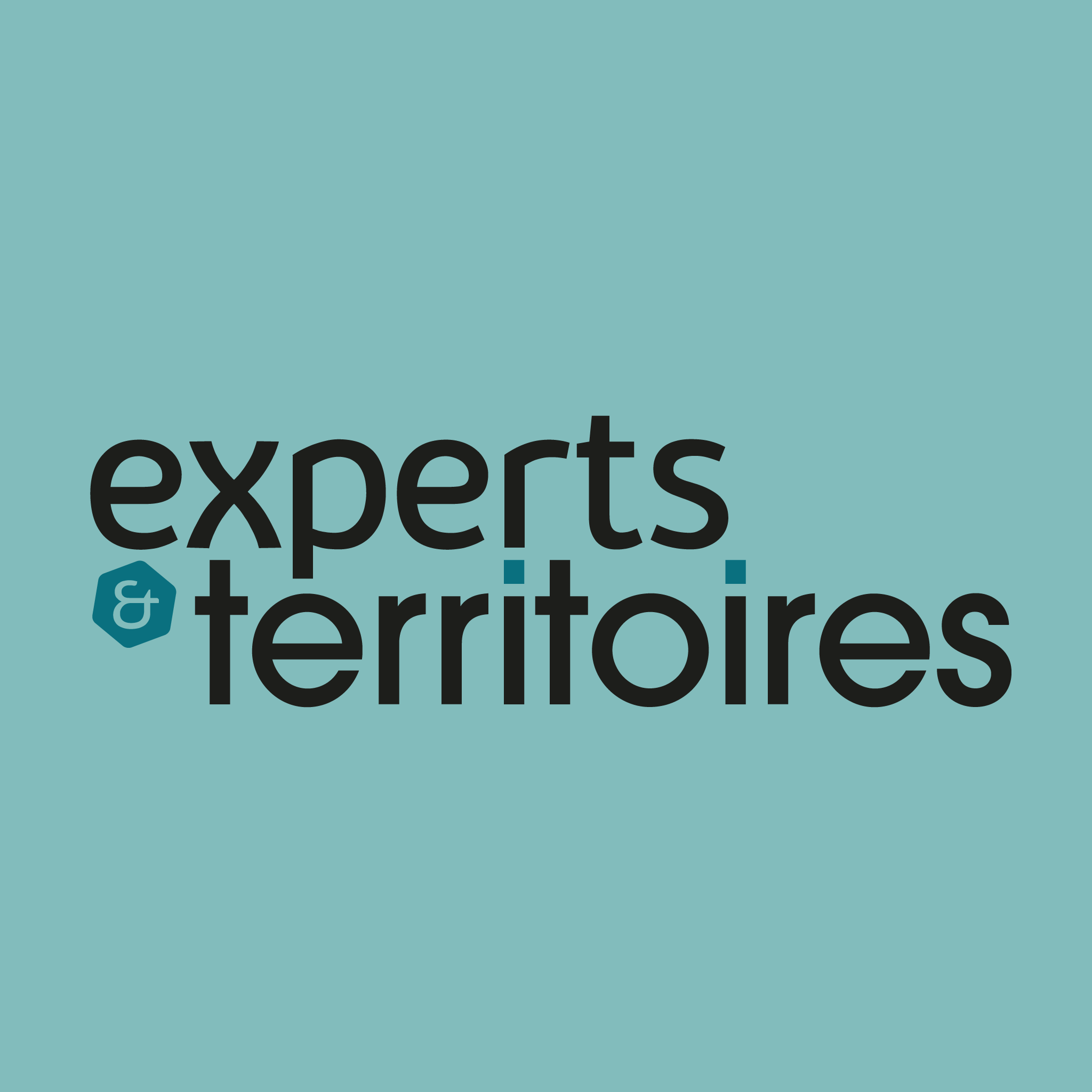 Logo Experts et territoires
